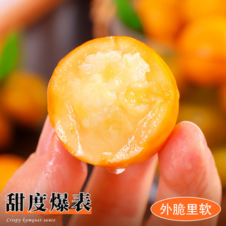 融安脆皮金桔10斤广西蜜金柑新鲜小橘子纯甜当季水果整箱