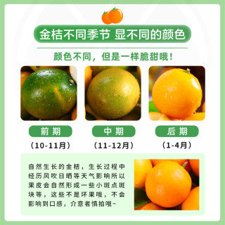 融安脆皮金桔10斤广西蜜金柑新鲜小橘子纯甜当季水果整箱 1斤 【小果】个头小丨实惠装丨约65个左右/斤！