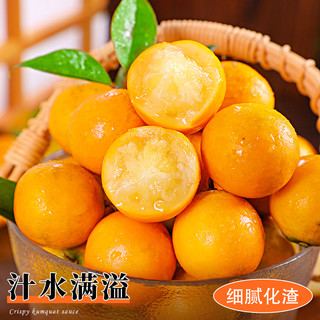 融安脆皮金桔10斤广西蜜金柑新鲜小橘子纯甜当季水果整箱