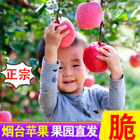 甜醉了烟台苹果水果生鲜果脆甜栖霞红富士整箱应季山东特产礼盒产地直发 10斤带箱90mm (净重8.5斤+）