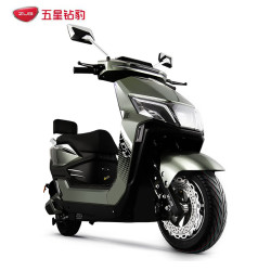 五星钻豹 X4 电动摩托车 ZB2000DT-2 松石绿