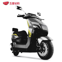 五星钻豹 X4 电动摩托车 ZB2000DT-5