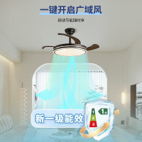 雷士照明 星冰系列 风扇吊灯 黑色