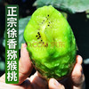 肴池陕西晚采即食徐香猕猴桃奇异果绿心新鲜应季水果整箱 特大果20枚单果（110克+）