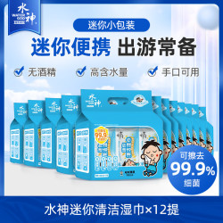 WATER GOD 水神 迷你清洁湿巾小包除菌便携衣物去污8抽