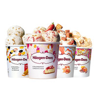 Haagen-Dazs/哈根达斯焦糖饼干草莓芝士芒果组合装冰淇淋460ML/桶