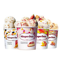 Haagen-Dazs/哈根达斯焦糖饼干草莓芝士芒果组合装冰淇淋460ML/桶
