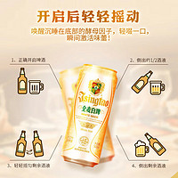 TSINGTAO 青岛啤酒 全麦白啤 500ml*12听