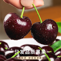 汇挑 大连樱桃 5斤 3J-4J 新鲜水果