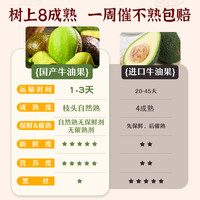 土地母亲计划 云南 哈斯牛油果 70-100g 2个