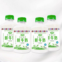 青海湖 青海 巴氏杀菌鲜奶 500ml*4瓶