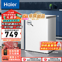 Haier 海尔 100升一级能效低霜小冰柜家用商用冷藏柜冷冻柜小型租房用小冰箱小型冷柜