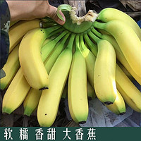 果佳懿 云南乐东香蕉 4500g