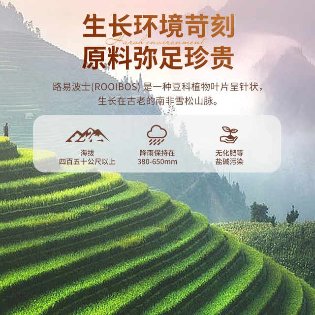Cape Valley 开普山谷 路易博士茶 200g 2g*100袋/盒