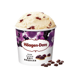 哈根达斯（Haagen-Dazs）葡萄朗姆酒口味大桶冰淇淋473ml 家庭装