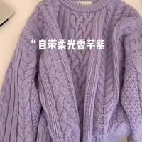 薇靡雅 WEIMIYA蓝色浣熊绒套头针织毛衣女秋冬季加厚设计感小众慵懒风高级 1526紫色 均码