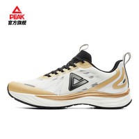 匹克态极决胜100体测运动鞋耐磨减震竞速跑鞋DH510061