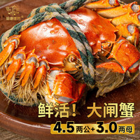 【活蟹】湖塘烟雨大闸蟹鲜活螃蟹河蟹生鲜水产海鲜礼盒公4.2-4.5两母3.0-3.3两 4对
