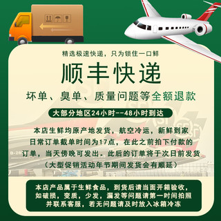 鲜羊官内蒙呼伦贝尔羊肉草饲半只羔羊9.5斤分割白条羊羊排羊腿生鲜清真 15斤礼盒半只羊