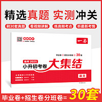 2025一本小升初考卷大集结语文数学英语人教版 小学六年级下册试卷测试卷全套必刷题2023毕业总复习专项训练分班升学名校真题卷