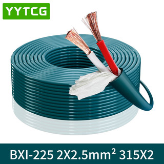  YYTCG 增强型屏蔽抗干扰 音响线