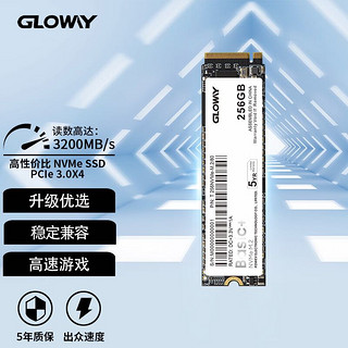 GLOWAY 光威 Basic+系列 NVMe M.2固态硬盘 256GB（PCIe 3.0）