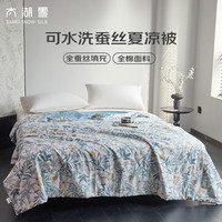 太湖雪100%蚕丝被 可水洗蚕丝夏凉被薄被子 空调被 200*230cm