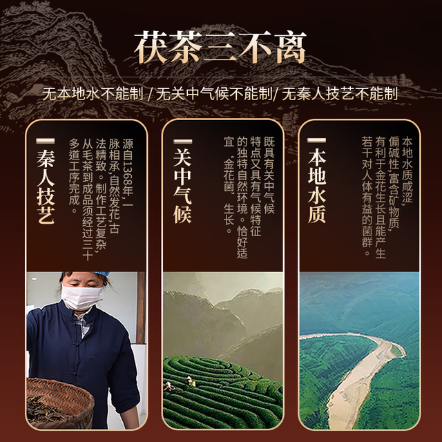几于道陕西官茶泾阳茯茶黑茶手筑金花茯砖茶伏茶茶叶陕西西安特产茶叶特