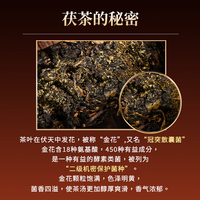几于道陕西官茶泾阳茯茶黑茶手筑金花茯砖茶伏茶茶叶陕西西安特产茶叶特