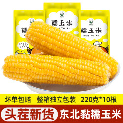 四平玉米 黄糯玉米彩袋  220g*10棒
