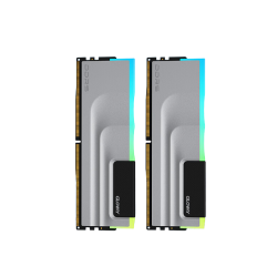 GLOWAY 光威 神武RGB系列 DDR5 6400MHz RGB 台式机内存 灯条 银色 32GB 16GBx2 CL28