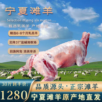 午羊 宁夏滩羊 精品全羊整只羊肉年货礼盒 全羊宴烤全羊 火锅炖煮食材 【产地直发】30斤羔羊整只