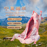 午羊 宁夏滩羊 精品全羊整只羊肉年货礼盒 全羊宴烤全羊 火锅炖煮食材 【产地直发】40斤羔羊整只