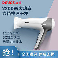 百亿补贴：POVOS 奔腾 吹风机大风力速干冷热两用大功率护发家用发廊大学生宿舍风筒