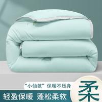 抗菌纤维被子秋冬被春秋被加厚保暖冬季被芯宿舍单双人四季