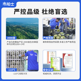 Dr.Surprise/市舶士 马来西亚猫山王榴莲带壳整果