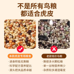 福乐贝特 虎皮鹦鹉饲料鸟粮黄谷子带壳小米加纳利子鸟食混合粮玄凤牡丹