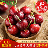 斯可沁 大连美早大樱桃特级4J级1.8-2斤新鲜水果礼盒国产车厘子产地直发