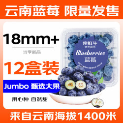 京鲜生 云南蓝莓 12盒大果18mm+ 125g/盒 生鲜年货水果 源头直发
