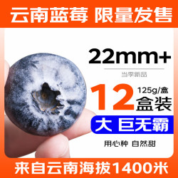 Mr.Seafood 京鲜生 云南蓝莓巨无霸 22mm+ 12盒装 125g/盒  新鲜水果 源头直发 原箱装1.5kg