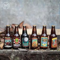 LOST COAST 迷失海岸 黑8 美式燕麦世涛啤酒 355ml*6瓶
