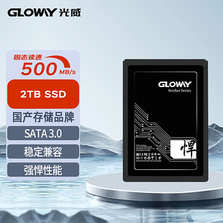 光威（Gloway）SSD固态硬盘 SATA3.0接口 悍将系列 2TB