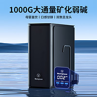 西屋电气 品牌直营西屋净水器家用大通量1000G厨下直饮E800