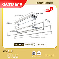 OLT 欧兰特 D13电动晾衣架自动升降晒衣阳台智能控制LED照明遥控D13B-S D13B-S银白伸缩杆