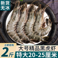 名扬湖海 黑虎虾超大海虾鲜速冻竹节虾海鲜水产大黑虎虾斑节虾九节虾老虎虾