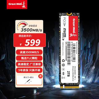 Great Wall 长城 SSD固态硬盘GW3500/CH40 M.2接口(NVMe协议)PCIe 3.0x4 读速高达3500MB/s GW3500-2TB