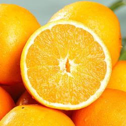 京觅 重庆奉节脐橙 5斤 单果160g+ 生鲜水果 源头直发