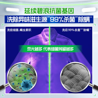碧浪洗衣免搓粉6.2斤洗衣粉非皂粉大袋装持久留香去污除菌纯净清香