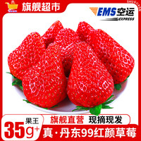 沙窝曙光草莓丹东草莓99红颜奶油大草莓新鲜时令水果整箱 净重1.8斤大果单果20-30g