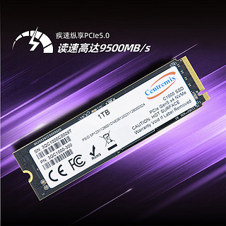 芯点子 C1000 1T 2T SSD固态硬盘 M.2 NVMe PCIe5.0台式机笔记本电脑 独立缓存 游戏电竞 至高10000MB/s C1000-1T